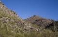Saguaros Studded Mountain with view of the Moon Between the Peaks
