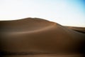 Sahara in North Africa Royalty Free Stock Photo