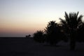 Sahara Caravan Horizon Sunset in Desert Royalty Free Stock Photo