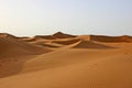 Sahara desert Royalty Free Stock Photo