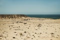 Sahara desert along side the atlantic ocean Africa, Morocco Royalty Free Stock Photo