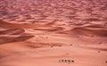 Sahara Desert