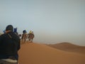 Sahara desert. Camel caravan. People ride camels