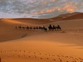 Sahara Desert Caravan In Morocco