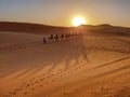 A Sahara Desert Caravan In Morocco