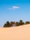 Sahara desert at Douz in Tunisia Royalty Free Stock Photo