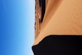 Sahara Desert Dunes