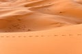 Sahara desert dunes with footprints at sunset, Merzouga, Morocco, Africa sandy texture Royalty Free Stock Photo