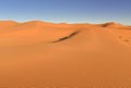 Sahara desert dunes Morocco Royalty Free Stock Photo