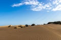 Sahara desert dunes oasis Royalty Free Stock Photo