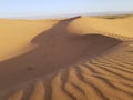 Sahara desert dunes Royalty Free Stock Photo