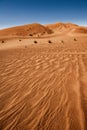 Sahara desert, Erg Chebbi Royalty Free Stock Photo