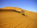 Sahara desert Royalty Free Stock Photo