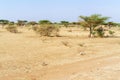 Sahara desert landscape near Khartoum in Sudan