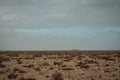 Sahara Desert in Mauretania, Western Africa. Royalty Free Stock Photo