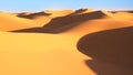 Sahara desert, Morocco Royalty Free Stock Photo