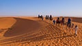 Sahara Desert, Morocco - November 2019: A caravan of camels going on Sahara Desert in Morocco Royalty Free Stock Photo