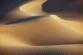 Sahara desert sand dunes. Royalty Free Stock Photo