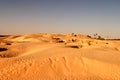 Sahara Desert sand dunes Royalty Free Stock Photo