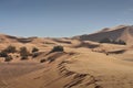 Sahara desert