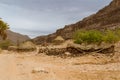 Tuareg village. Tassili N`Ajjer National Park, Algeria,