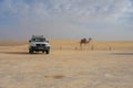 7.11.23: Sahara Desert, Tunisia: Sahara desert in Tunisia, North Africa. Beautiful landscape sand and dunes. Royalty Free Stock Photo