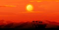 Sahara dunes. India desert sunset. Morocco scenery. Egyptian or Indian silhouettes. Africa journey landscape. Caravan