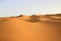 Sahara lansdscape Royalty Free Stock Photo