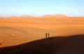 Shadows on the sand in the desert Sahara