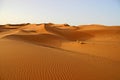 Sahara sanddunes Royalty Free Stock Photo