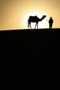 Sahara Sunrise Silhouette: A Man and His Camel