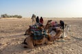 06.11.23 Sahara, Tunisia: Group of tourist ride on camels at sunset in Sahara Desert Tunisia. Royalty Free Stock Photo