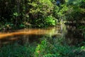 Sahasralingas Linga 1,000, the figures of Yoni and Linga in rocky riverbed on mountain along Kbal Spean river in Phnom Kulen Nat