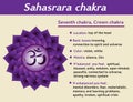 Sahasrara chakra infographic. Seventh, crown chakra symbol description and features. Information for kundalini yoga Royalty Free Stock Photo