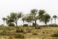 Sahel landscape Royalty Free Stock Photo