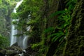 Sai Khao Waterfall, Namtok Sai Khao National Park, Pattani, Thailand Royalty Free Stock Photo