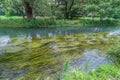 Sai river Sai-Gawa Near Daio Wasabi Farm in Azumino, Nagano Prefecture, Japan Royalty Free Stock Photo