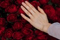 she said yes. close-up of woman hand with engagement rings. Hand of the on the background of the big bouquet of red Royalty Free Stock Photo