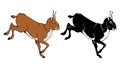 Saiga Antelope. Vector color clipart and silhouette