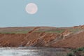 Saigas at a watering place on the background of a rising full moon. Royalty Free Stock Photo