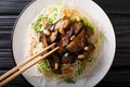 Saigon style vermicelli with eggplants and peanuts close-up on a plate. Horizontal top view Royalty Free Stock Photo