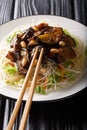 Saigon style vermicelli with eggplants and peanuts close-up on a plate. vertical Royalty Free Stock Photo