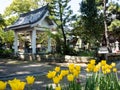 On the grounds of Kichijoji, temple number 63 of Shikoku pilgrimage Royalty Free Stock Photo