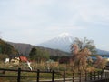 Saiko Iyashi-no-Sato Nenba- Mt Fuji