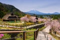 Saiko Iyashi no Sato Nenba village