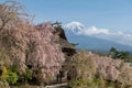 Saiko Iyashi no Sato thatched home with mt. Fuji and cherry tree Royalty Free Stock Photo