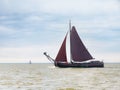 Sail barge, tjalk, sailing with brown sails on IJsselmeer lake, Netherlands