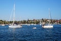 Sail Boats, Rose Bay, Australia