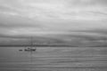 Sail Boat in Admiralty Inlet Royalty Free Stock Photo