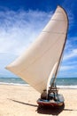 Sail Boat On A Brazilian Beach